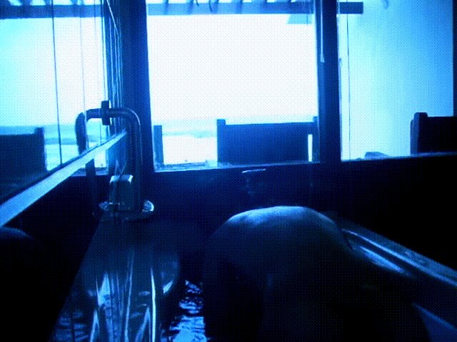 [고대자료] 신혼여행 커플이학준꺼 풀팩