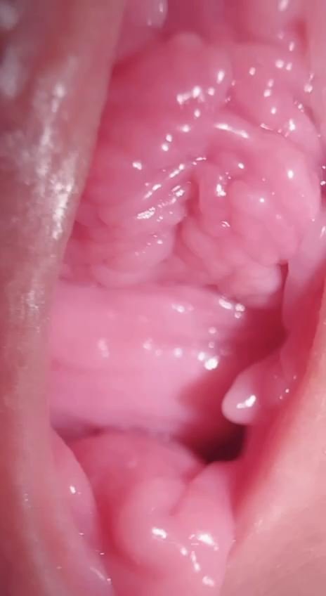 랙돌 텔레유료자료