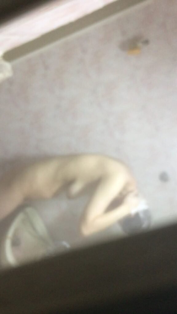 방금 찍은 동네 거유녀