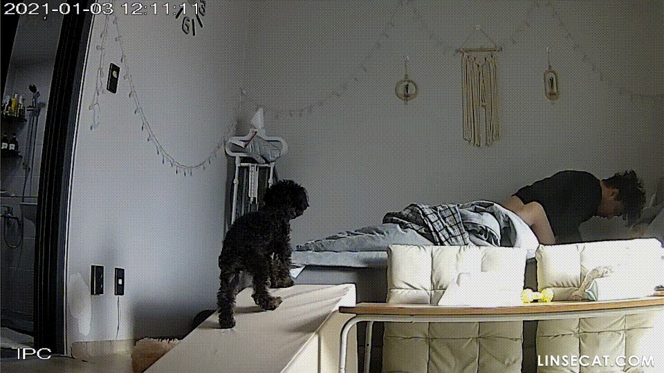 IP 몸매좋은 여친