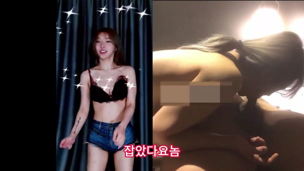 한국의 뚱보