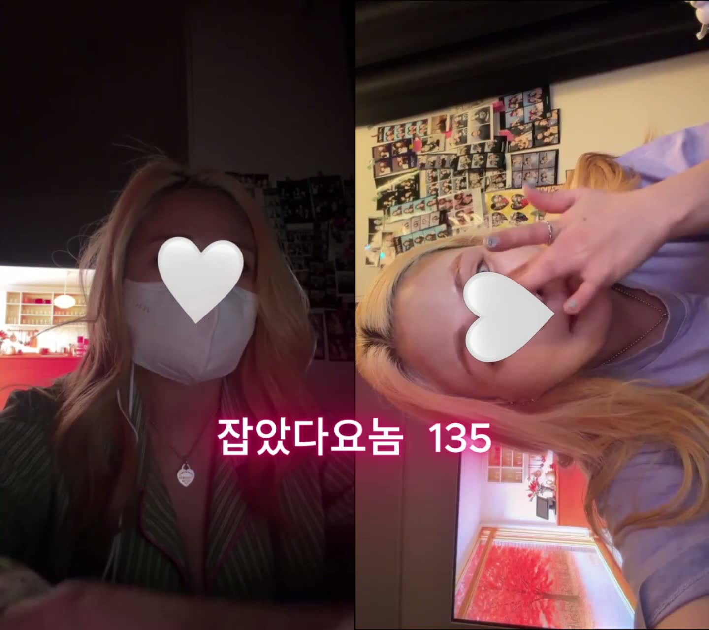 잡았다 요놈 날아라 금발 뚱땡이