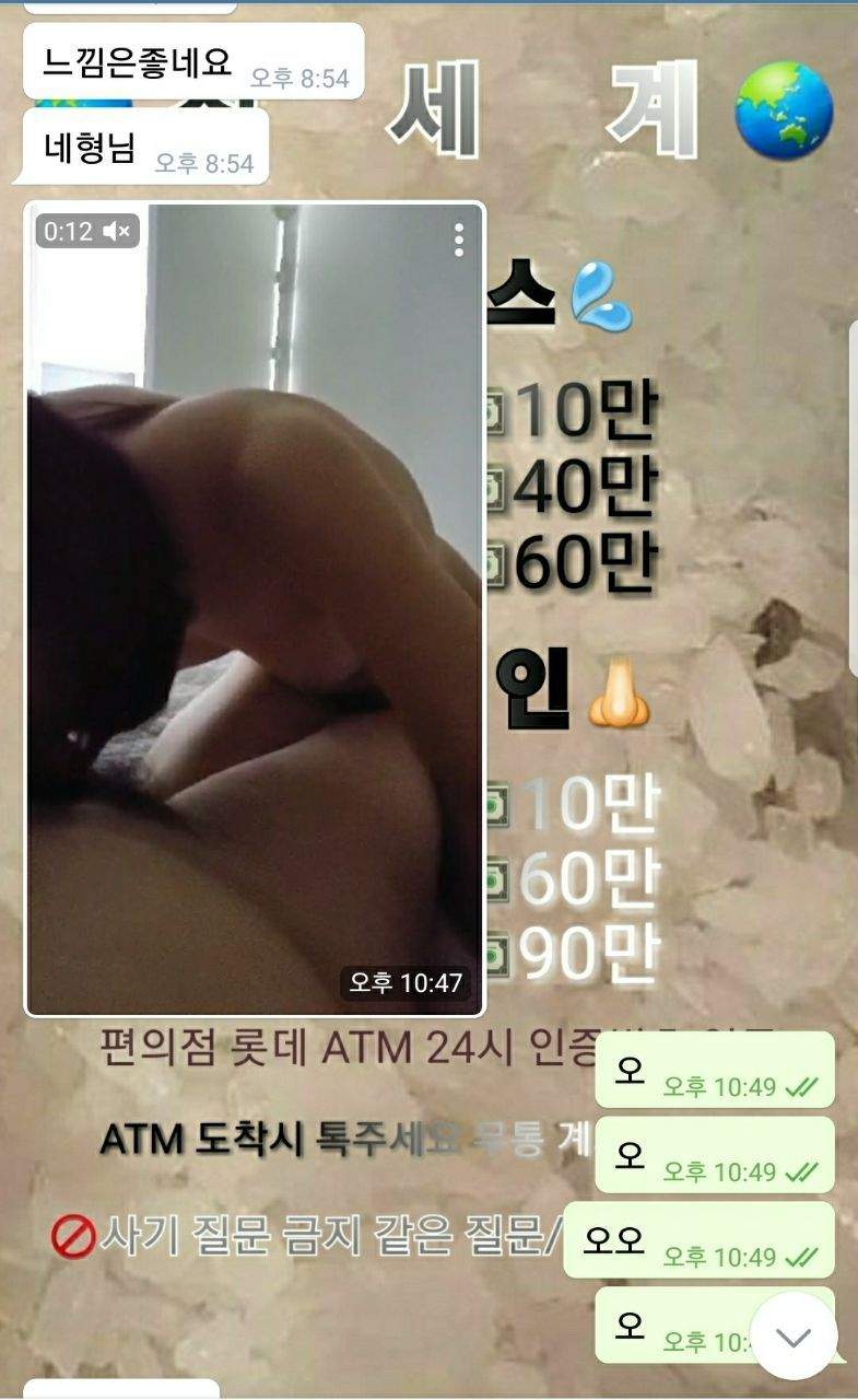 물담배 곽은영