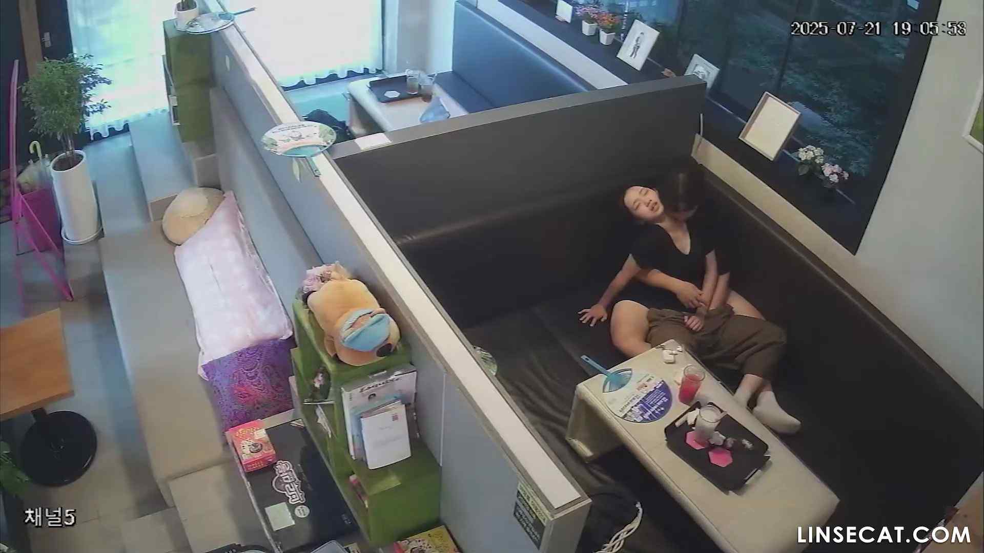 Ip 신작 룸카페 2